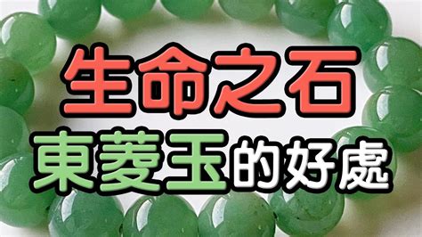 東菱玉屬性|東菱玉的作用功效